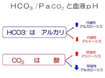 第3部:輸液から考える『腎臓』