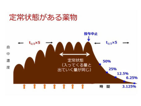 第2部:腎機能にあわせた薬物投与設計