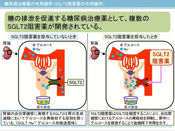 第1部:糖尿病を理解するための序論