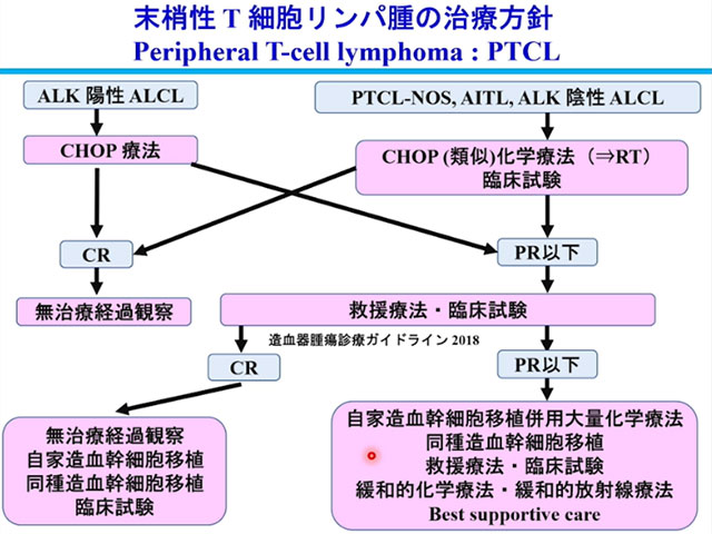 薬剤師も知っておきたい血液がんの基本 血液疾患の基礎知識と薬物療法Ⅱの画像
