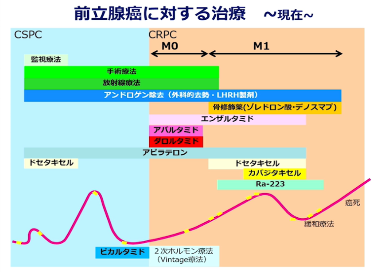 前立腺癌に対する至適な治療を目指しての画像