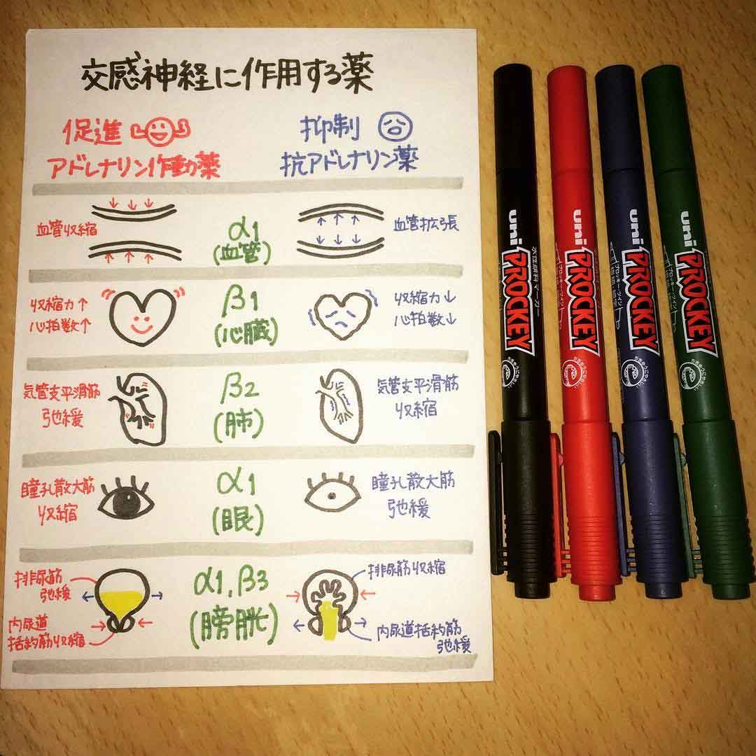 イラストで覚えやすい!薬剤師が選んだ「薬学生の勉強ノート」交感神経を促進する薬・抑制する薬の画像