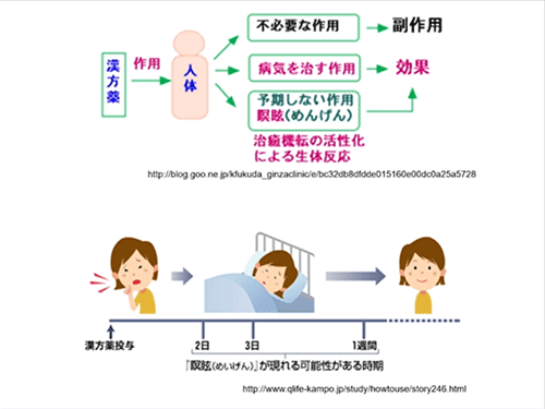 『続・薬剤師のための現代漢方~エビデンス編~』 第3部:漢方薬の副作用の画像