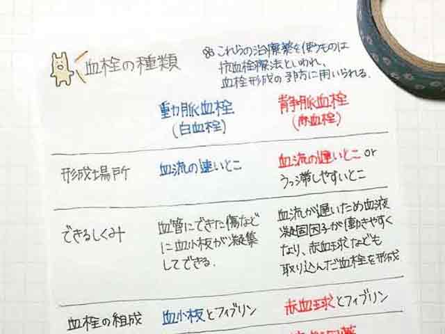 「抗てんかん薬」は視覚的に覚える!?薬学生勉強ノートの画像