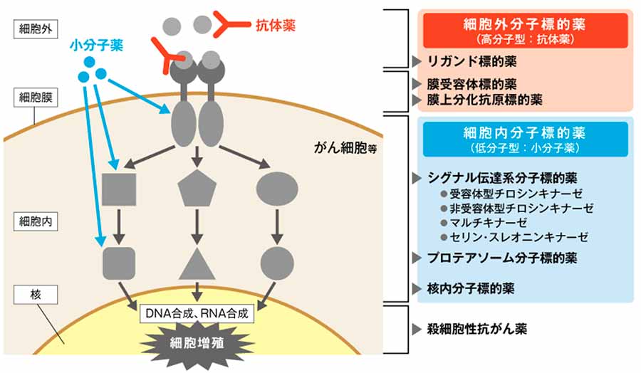 大量化学療法の長所と短所は何ですか?